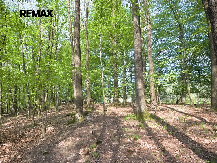 Prodej  stavebního pozemku 1 697 m² - foto 5