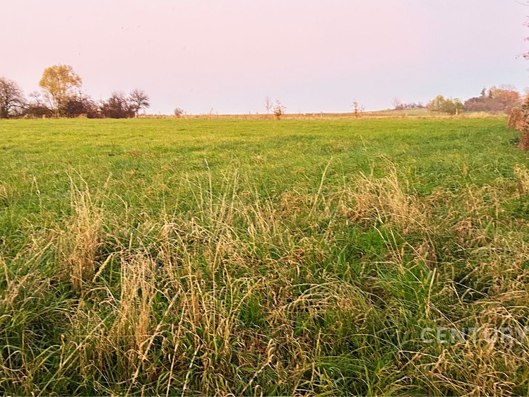 Prodej stavebního pozemku 2 092 m² - foto 3