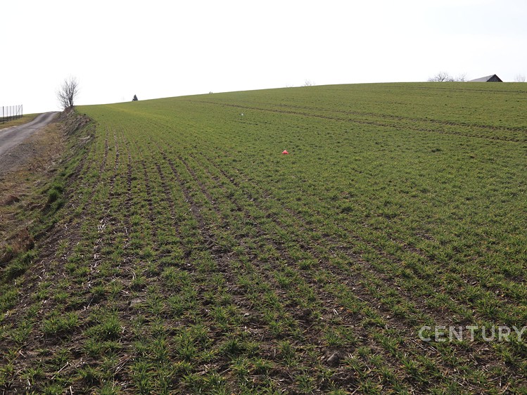 Prodej  komerčního pozemku 10 841 m² - foto 4