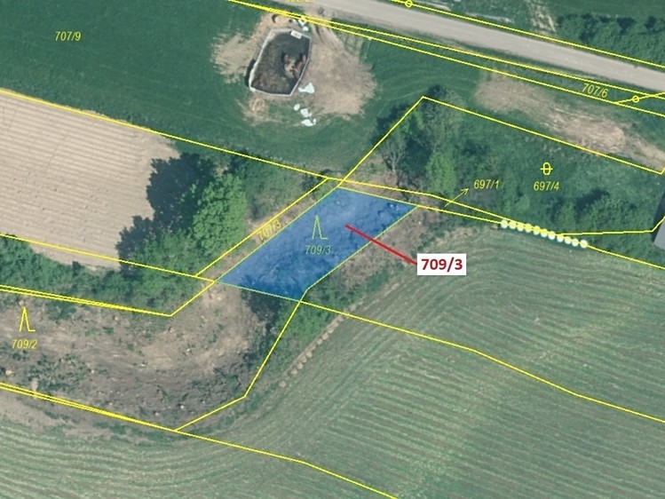 Dražba lesa 301 m² - foto 2