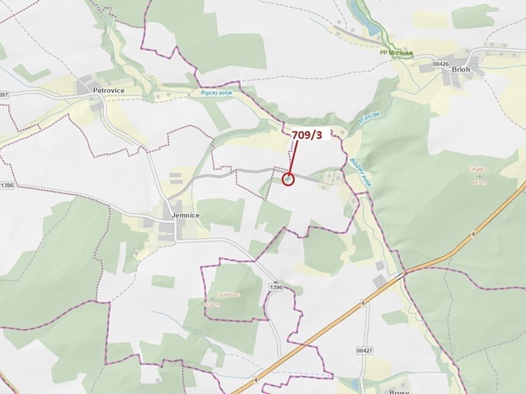 Dražba lesa 301 m² - foto 1