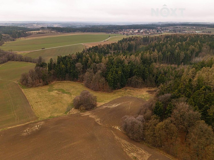 Prodej louky 7 301 m² - foto 4