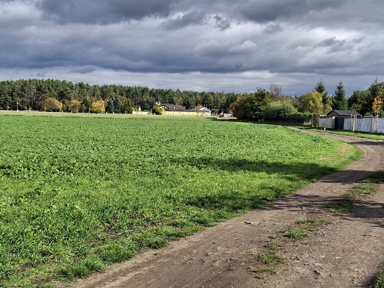 Prodej stavebního pozemku 2 160 m² - foto 7
