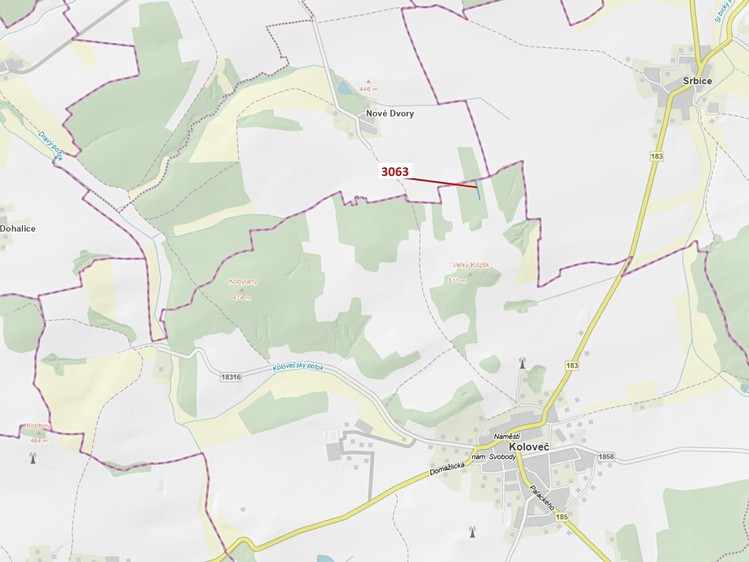 Dražba lesa 703 m² - foto 1