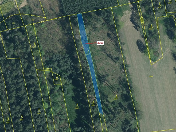 Dražba lesa 703 m² - foto 2