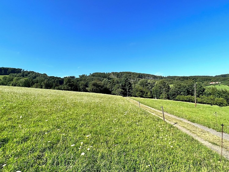 Prodej stavebního pozemku 5 950 m² - foto 4