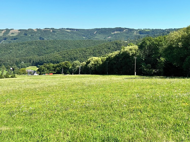 Prodej stavebního pozemku 5 950 m² - foto 5