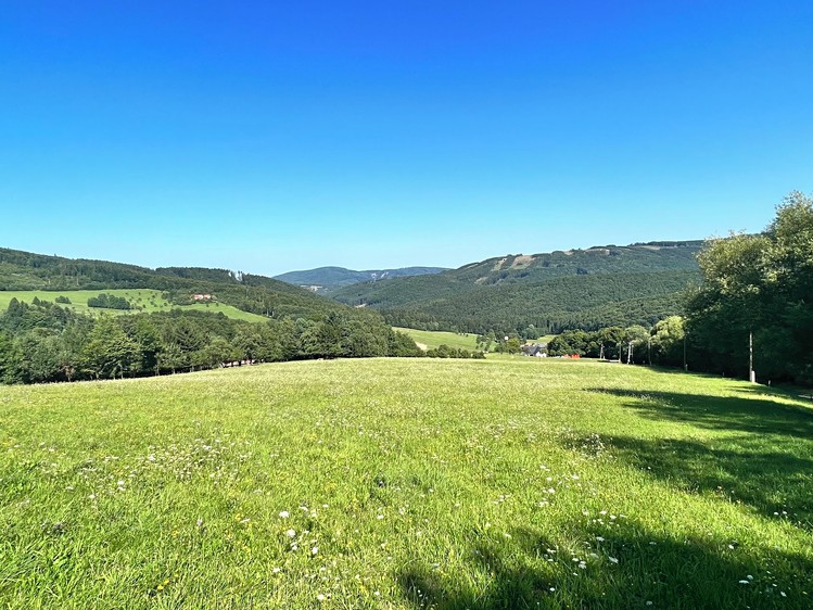 Prodej stavebního pozemku 5 950 m² - foto 7