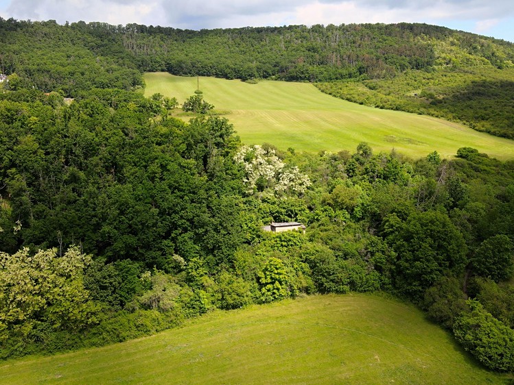 Prodej stavebního pozemku 1 000 m² - foto 8