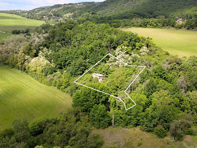 Prodej stavebního pozemku 1 000 m² - foto 5