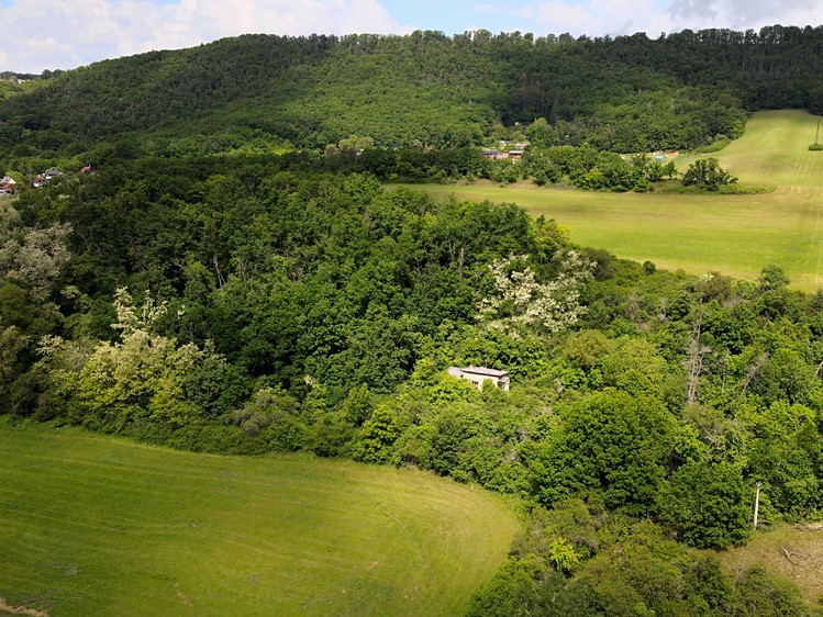 Prodej stavebního pozemku 1 000 m² - foto 6
