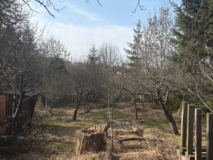 Prodej zahrady 727 m² - foto 4