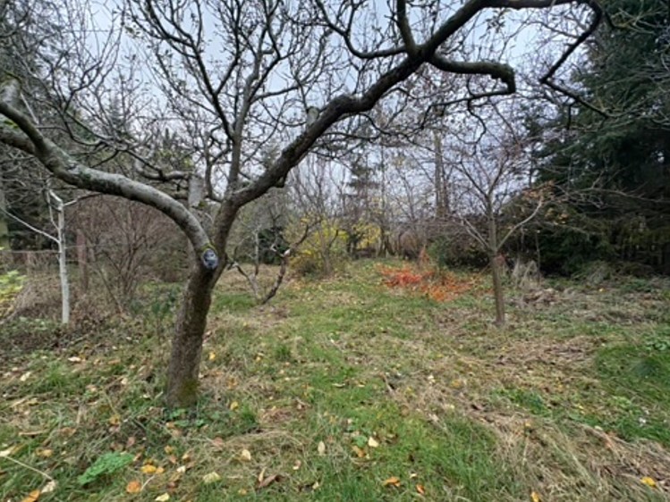 Prodej zahrady 727 m² - foto 5
