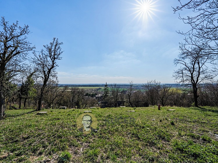 Prodej stavebního pozemku 3 158 m² - foto 3