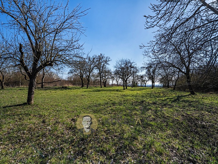 Prodej stavebního pozemku 3 158 m² - foto 5