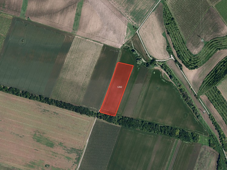 Prodej pole 11 008 m² - foto 1
