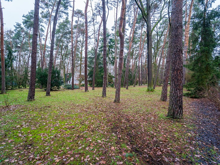 Prodej  stavebního pozemku 2 800 m² - foto 4