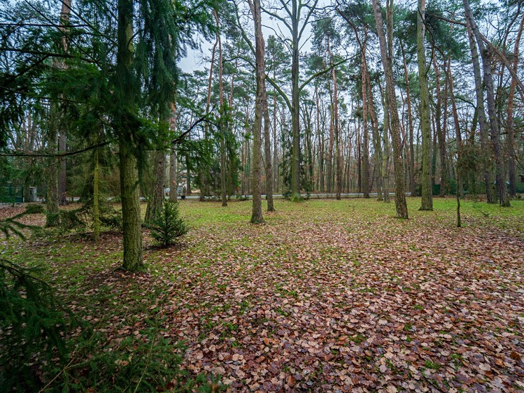 Prodej  stavebního pozemku 2 800 m² - foto 6
