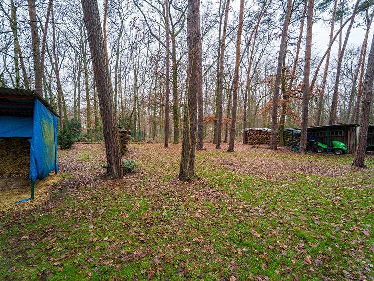 Prodej  stavebního pozemku 2 800 m² - foto 8