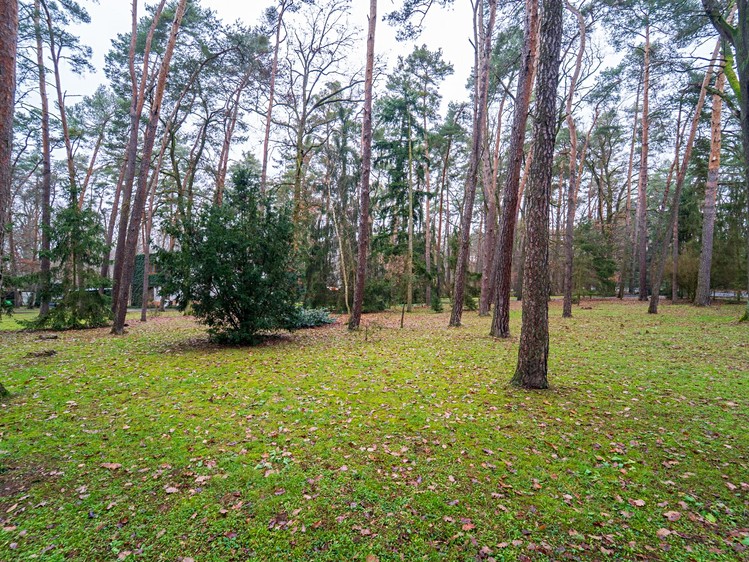 Prodej  stavebního pozemku 2 800 m² - foto 5