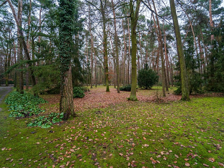 Prodej  stavebního pozemku 2 800 m² - foto 7