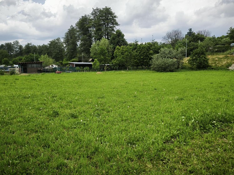 Prodej  zahrady 550 m² - foto 6