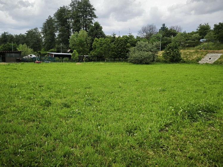 Prodej  zahrady 550 m² - foto 5