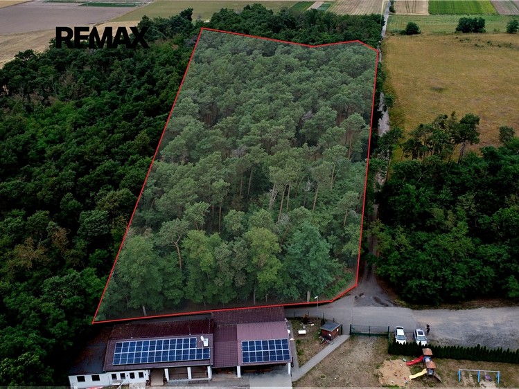 Prodej lesa 16 110 m² - foto 1