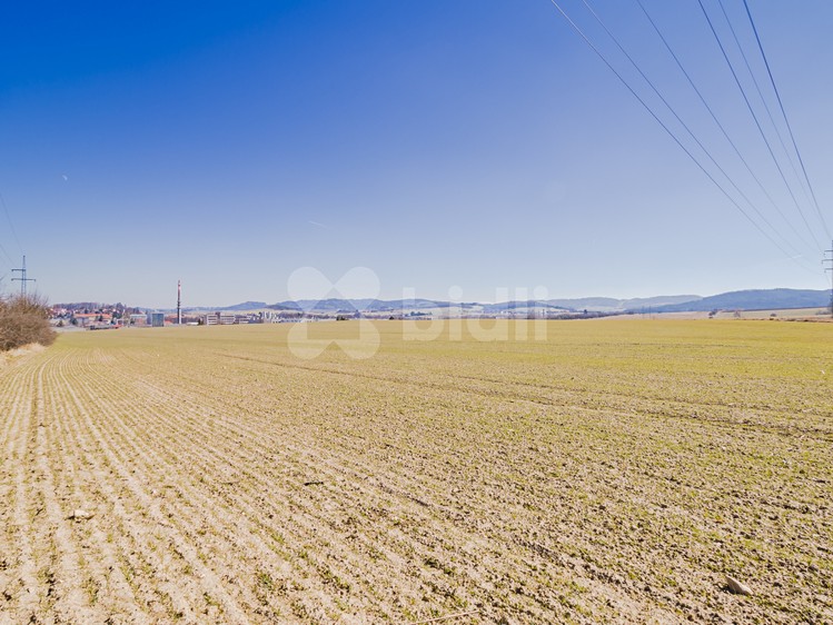 Prodej pozemku 4 500 m² - foto 3