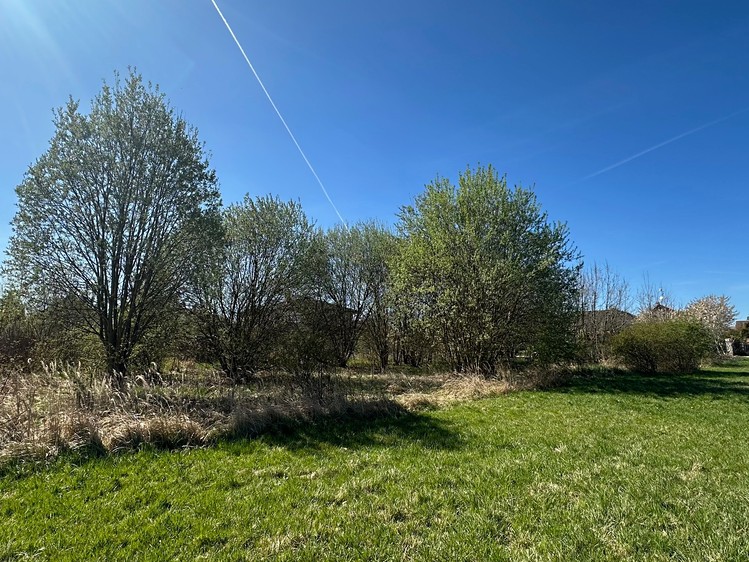 Prodej stavebního pozemku 1 669 m² - foto 4