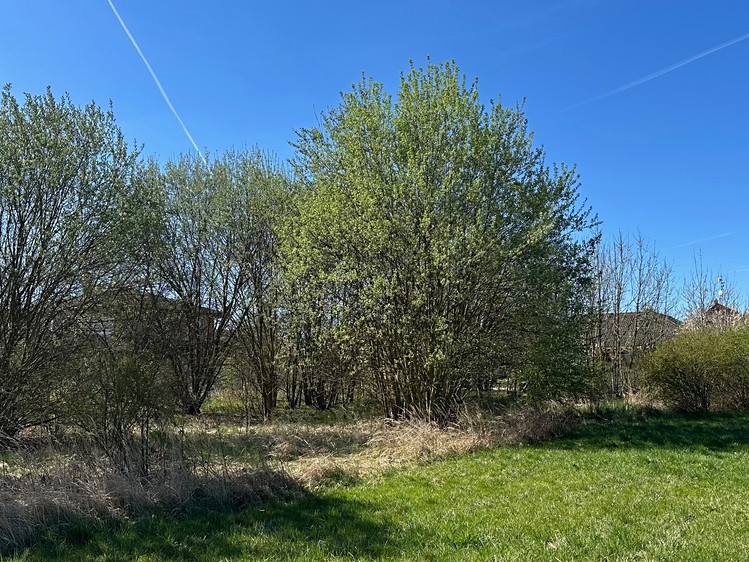 Prodej stavebního pozemku 1 669 m² - foto 5