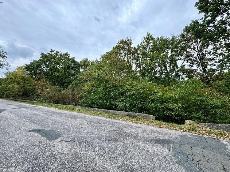 Prodej  louky 3 072 m² - foto 5