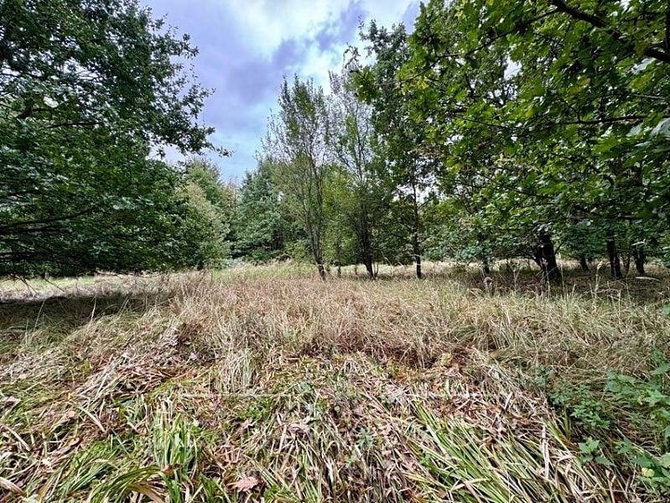 Prodej  louky 3 072 m² - foto 6