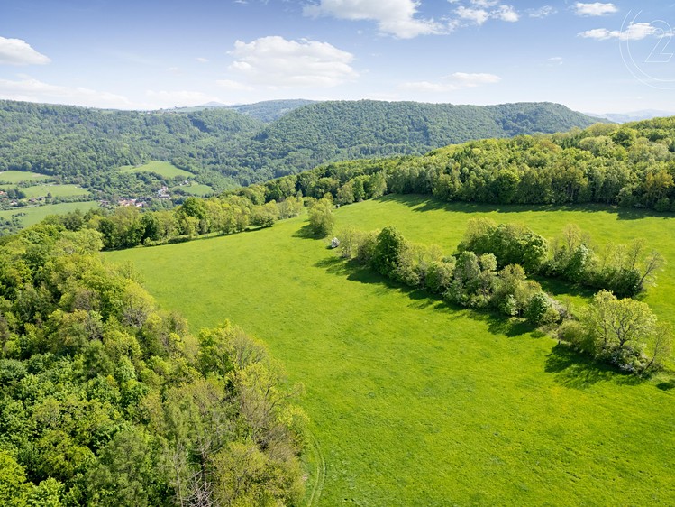 Prodej  pole 19 126 m² - foto 5