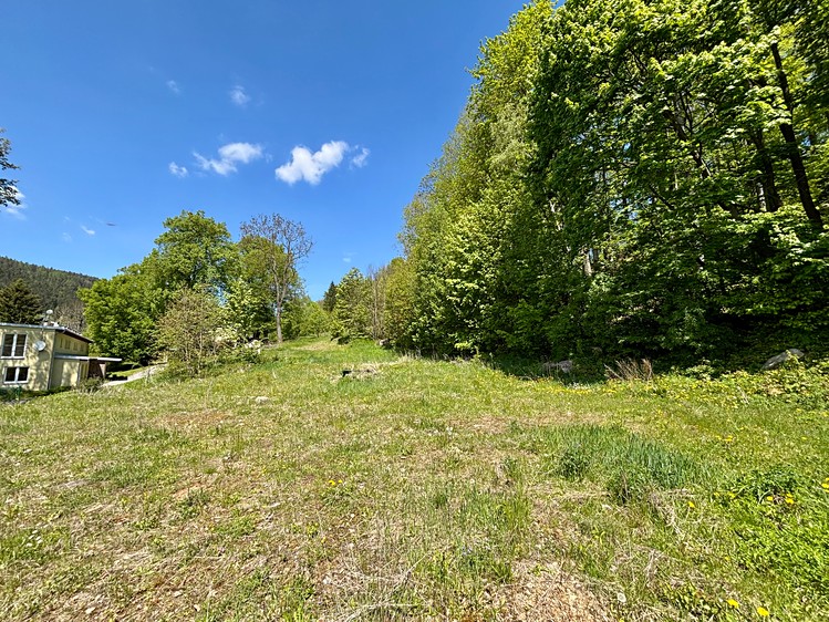 Prodej stavebního pozemku 2 475 m² - foto 8