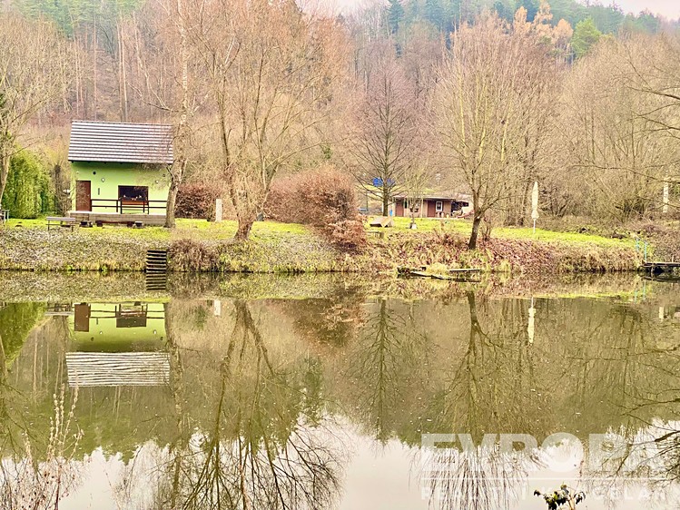 Prodej  stavebního pozemku 9 000 m² - foto 8