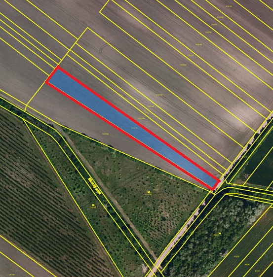 Prodej pole 4 600 m² - foto 1