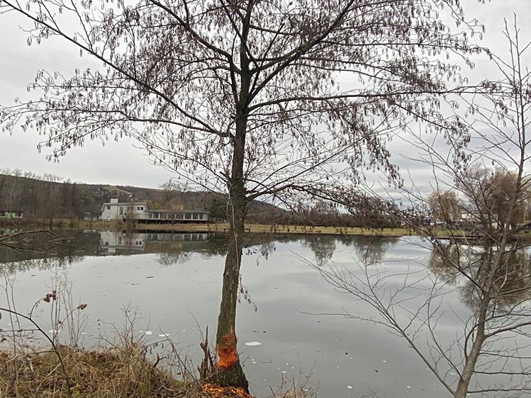Prodej  komerčního pozemku 7 442 m² - foto 4