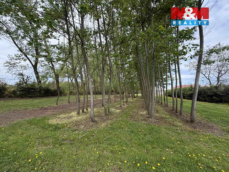 Prodej zahrady 4 112 m² - foto 6