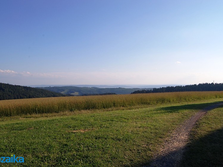 Prodej louky 867 m² - foto 1