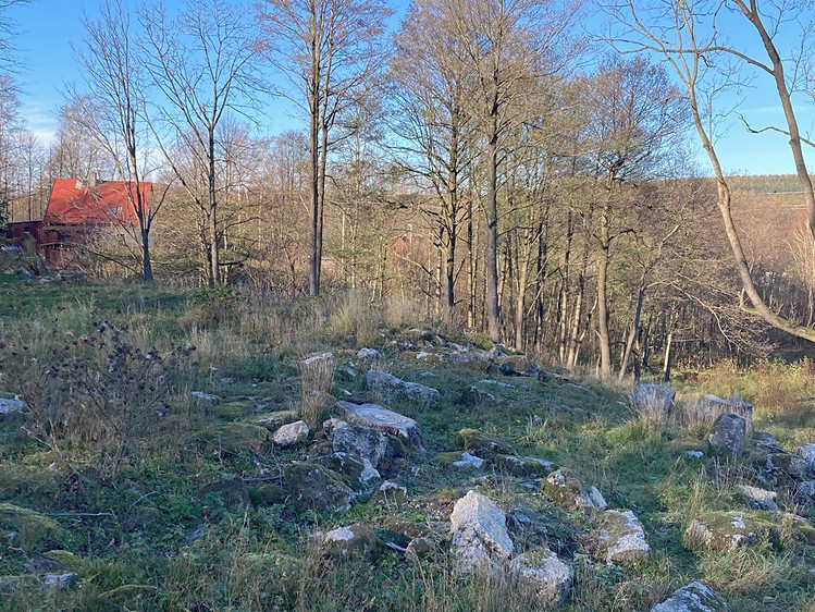 Prodej pozemku 6 645 m² - foto 5