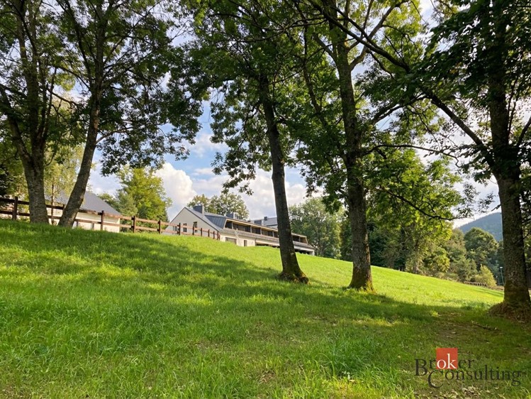 Prodej louky 282 m² - foto 1