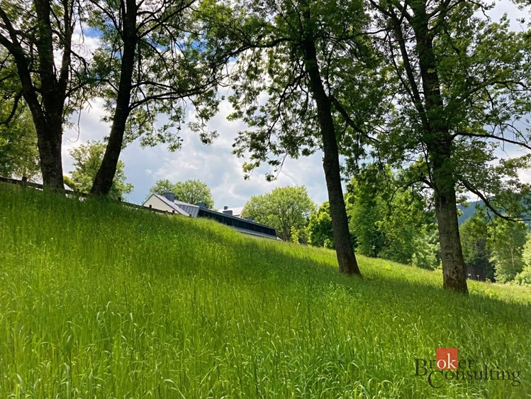 Prodej louky 282 m² - foto 2