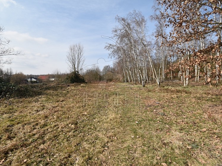 Prodej stavebního pozemku 6 184 m² - foto 1