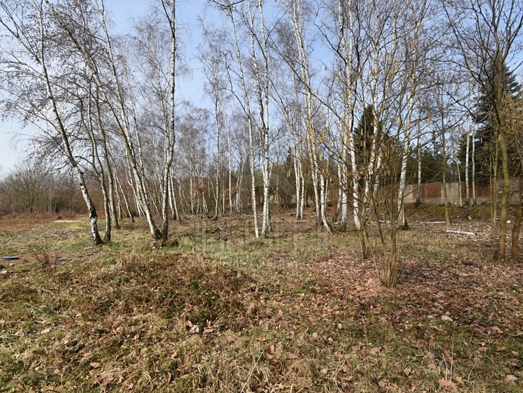 Prodej stavebního pozemku 6 184 m² - foto 8