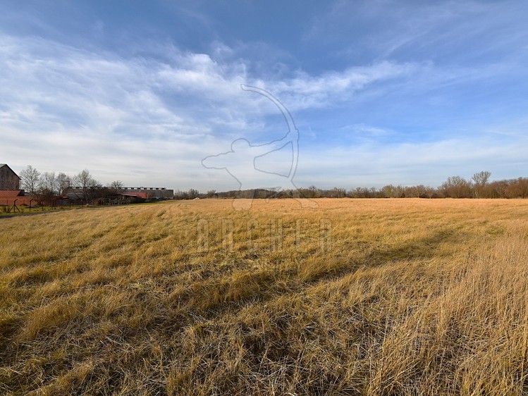 Prodej komerčního pozemku 80 085 m² - foto 8