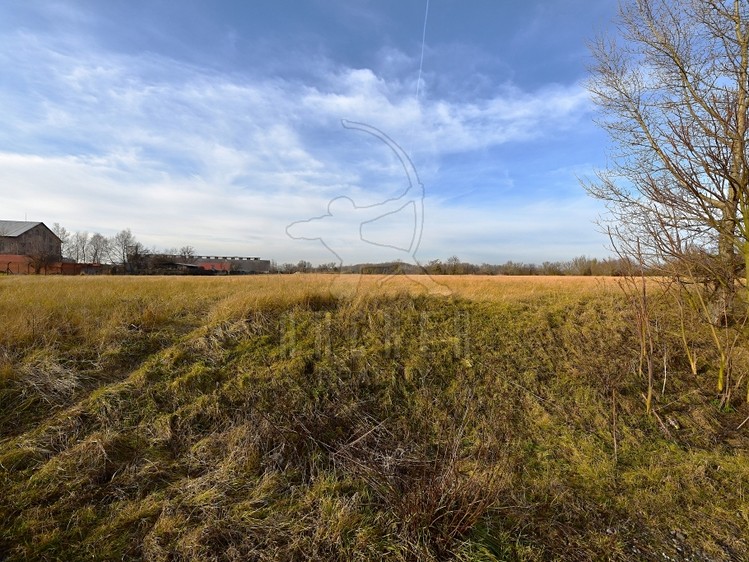 Prodej komerčního pozemku 80 085 m² - foto 6