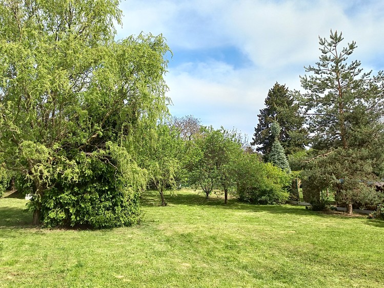 Prodej stavebního pozemku 990 m² - foto 3