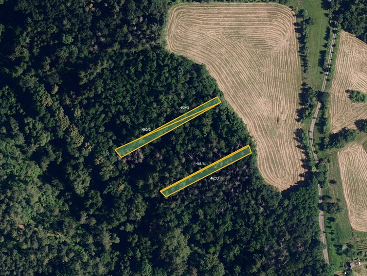 Prodej podílu 1/3  pole 18 470 m² - foto 4