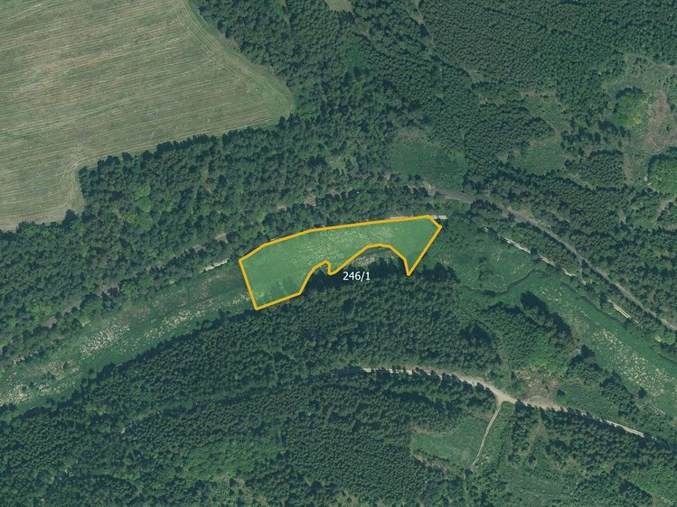 Prodej  pole 13 431 m² - foto 3